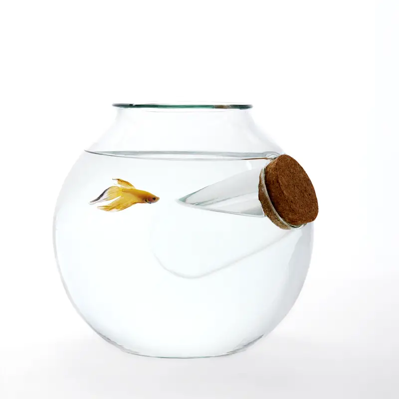 Unusual Blown Glass Fish Bowls By Roger Arquer. if it's hip, it's here