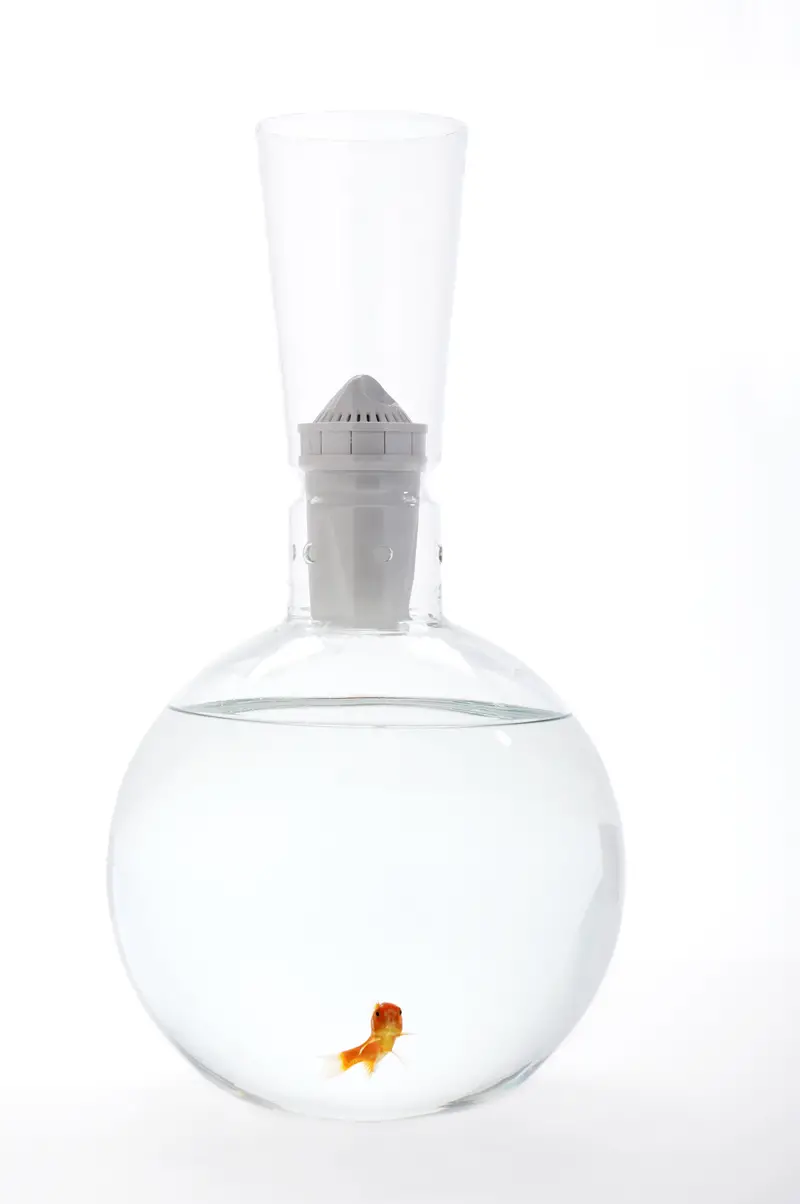 Unusual Blown Glass Fish Bowls By Roger Arquer. if it's hip, it's here