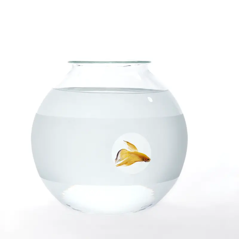 Unusual Blown Glass Fish Bowls By Roger Arquer. if it's hip, it's here