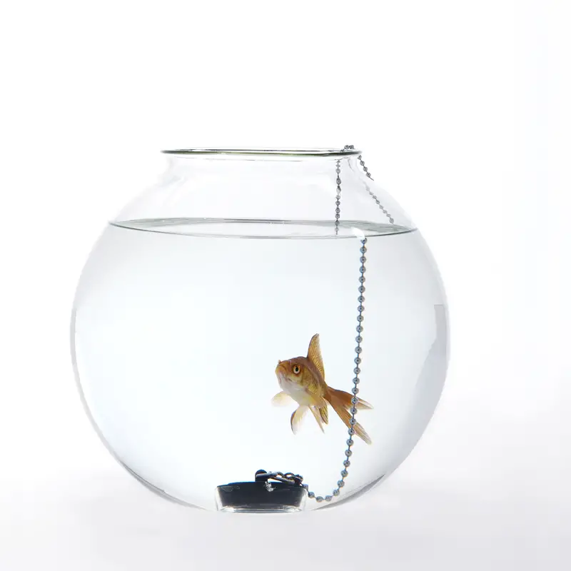 Unusual Blown Glass Fish Bowls By Roger Arquer. if it's hip, it's here