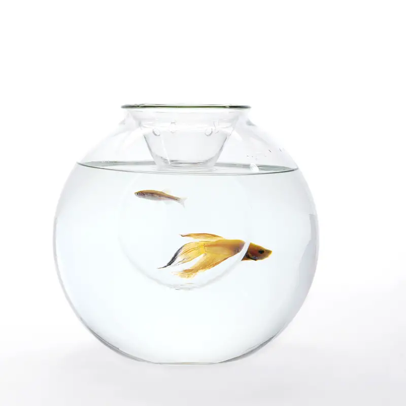 Unusual Blown Glass Fish Bowls By Roger Arquer. if it's hip, it's here