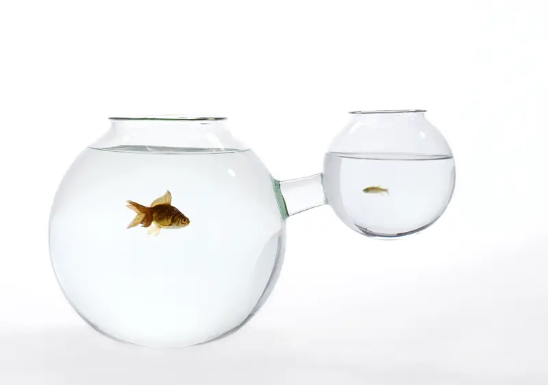 Unusual Blown Glass Fish Bowls By Roger Arquer. if it's hip, it's here