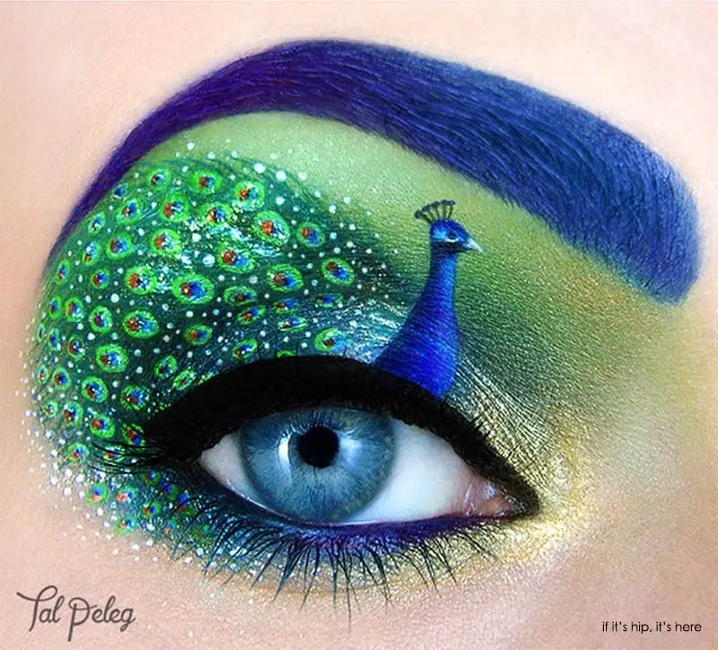 peacock eye makeup1
