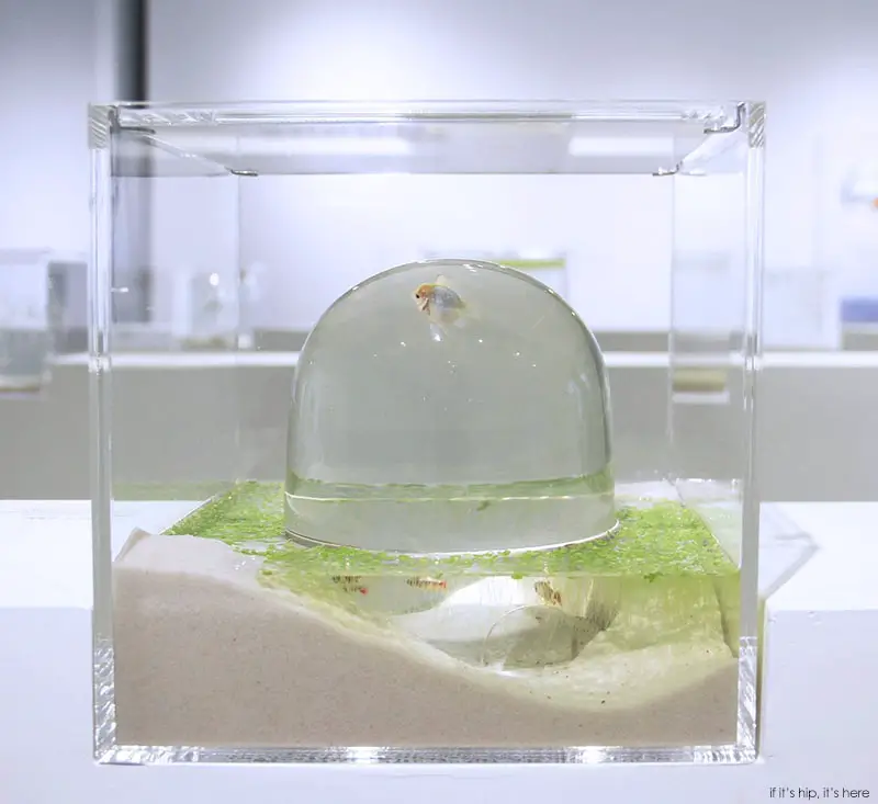 Waterscape Aquarium Exhibit architectural fish tanks