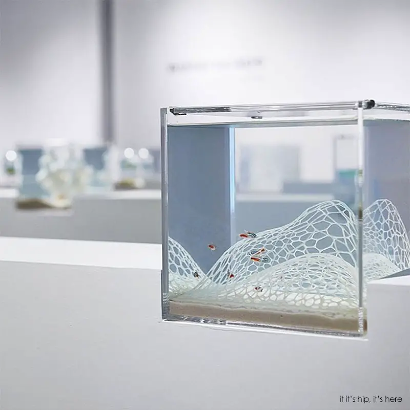 Waterscape Aquarium Exhibit architectural fish tanks