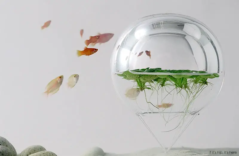 Waterscape Aquarium Exhibit architectural fish tanks