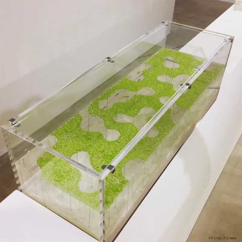 Waterscape Aquarium Exhibit architectural fish tanks