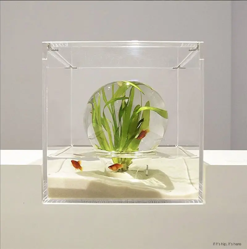 Waterscape Aquarium Exhibit architectural fish tanks