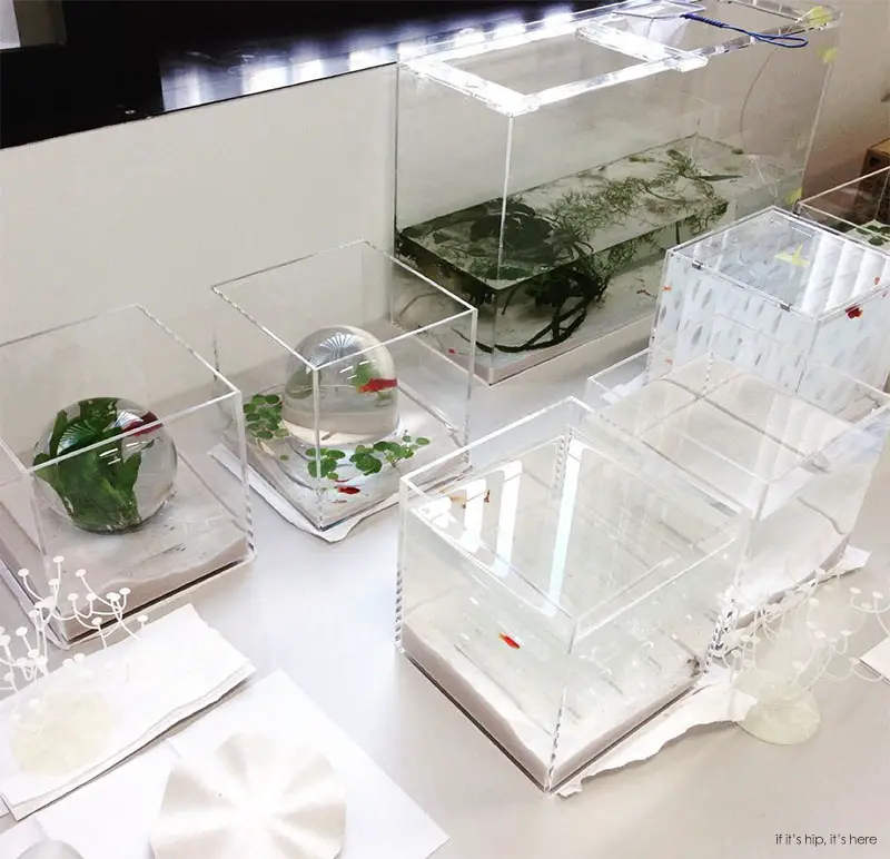 Waterscape Aquarium Exhibit architectural fish tanks