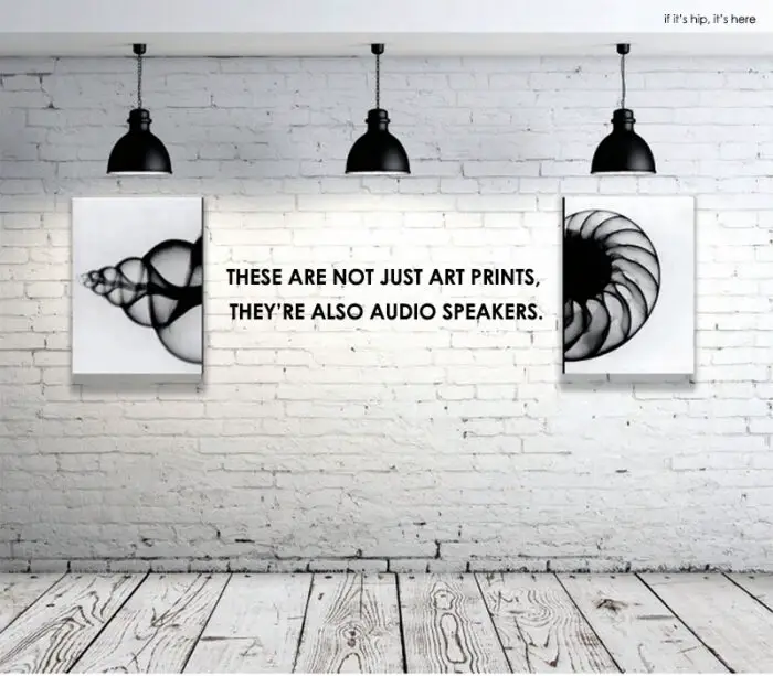 Read more about the article Art? Or Speakers? With Artcoustic, It’s Two, Two, Two Objects in One.