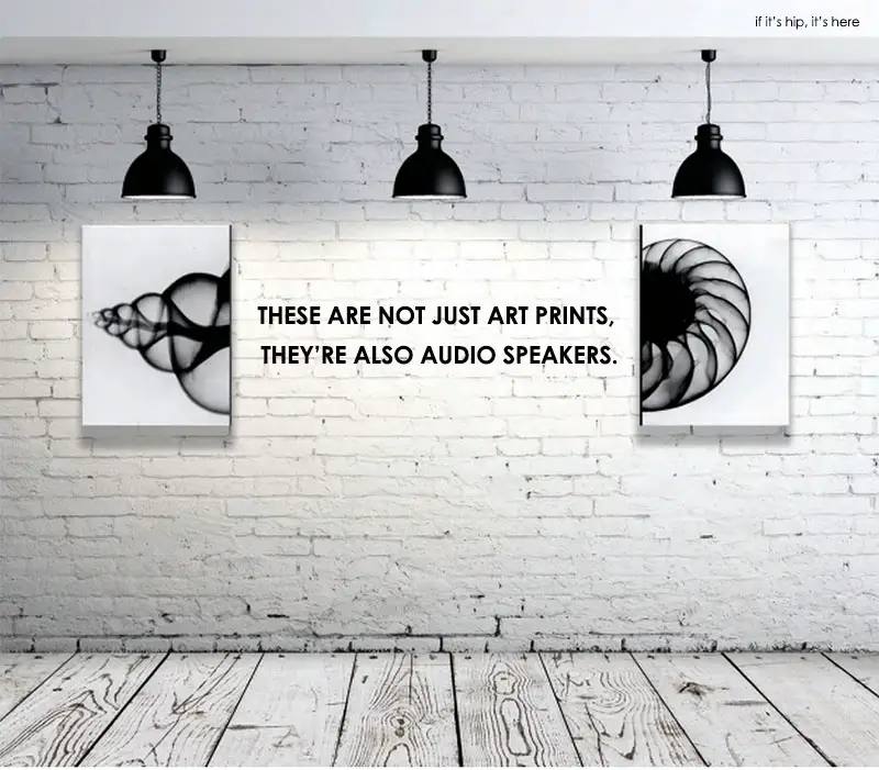 artcoustic speakers
