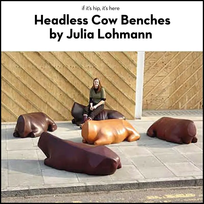 headless bovine benches
