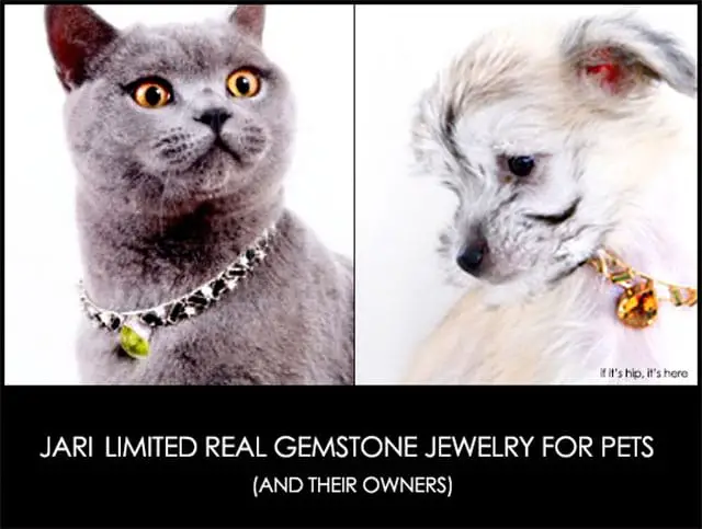 jari gemstone jewellery for pets and owners