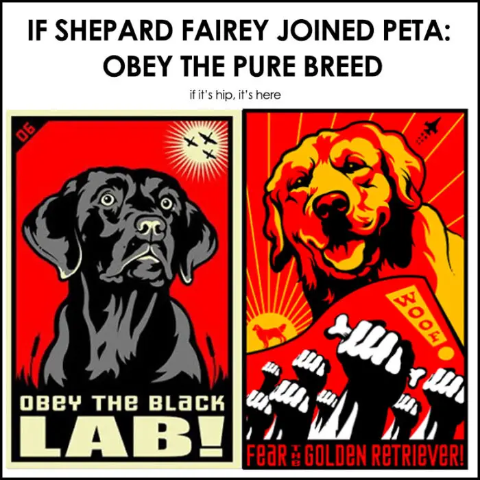 Read more about the article If Shepard Fairey Joined PETA: Obey The Pure Breed Posters and Merchandise