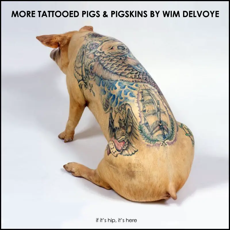 Read more about the article More Swine Art by Wim Delvoye : Tattooed Pigs & Pigskins (UPDATED PICS)