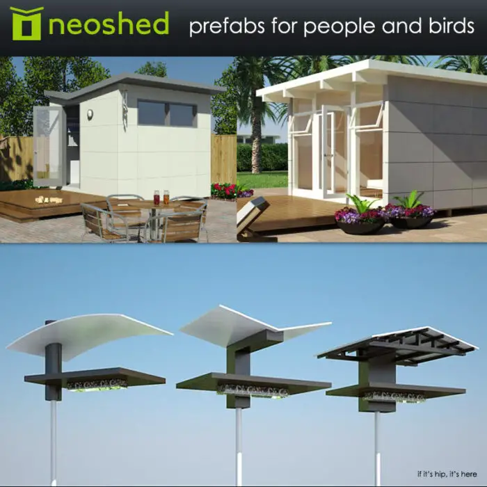 Read more about the article Neoshed: Hip Housing for Unfeathered and Feathered Folk