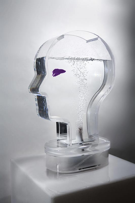 head shaped fish tank by nicola L.