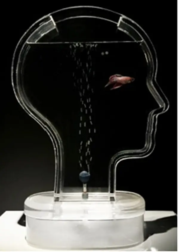 head shaped fish tank
