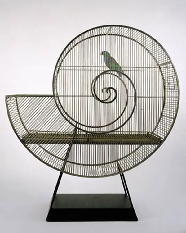 snail birdcage nicola l