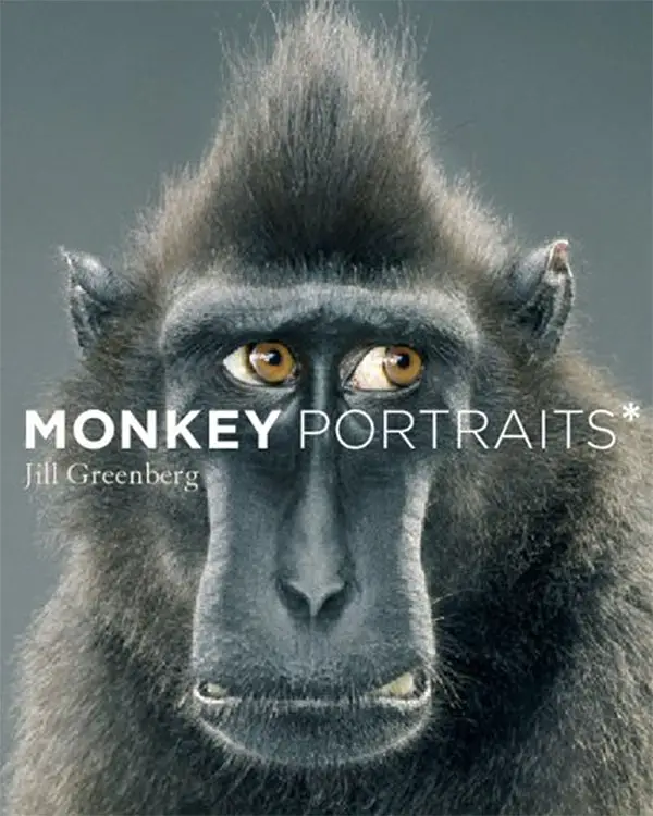 jill greenberg monkey portraits book