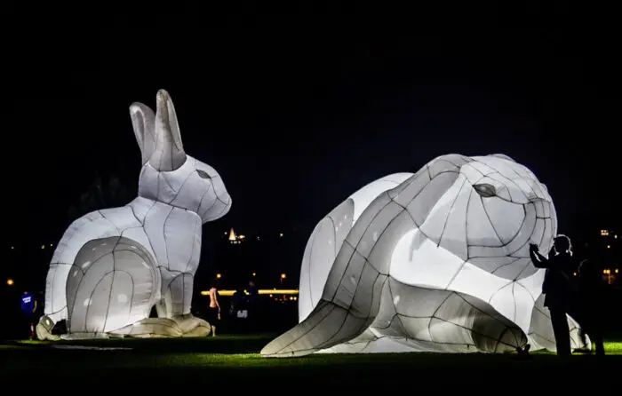 amanda parer large illuminated bunnies installation IIHIH