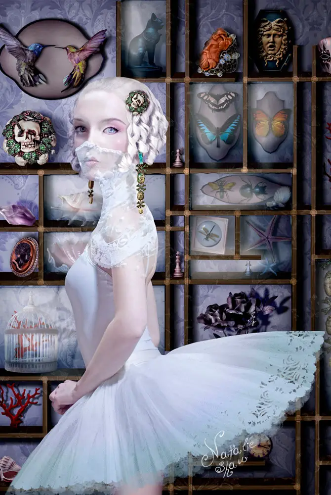 collection_cabinet goth illustrations natalie shau