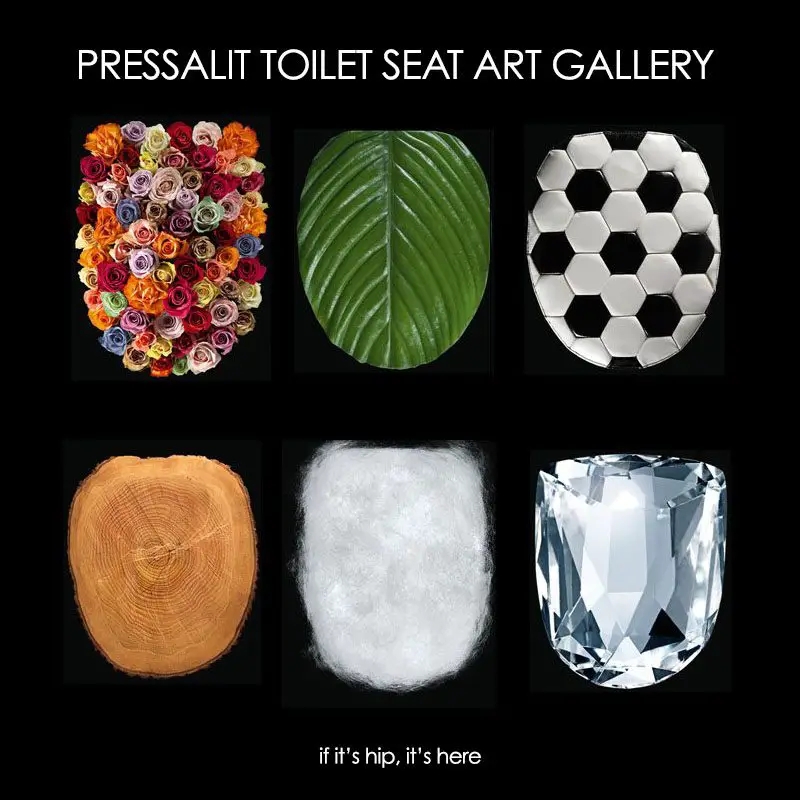 pressalit toilet seat art