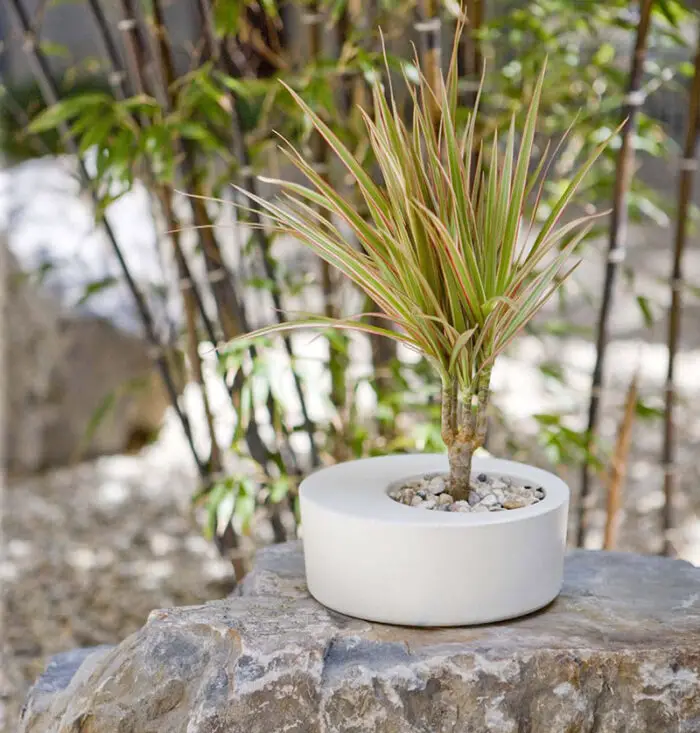 Read more about the article Obleeek Objects – Modern Concrete Planters For Indoor & Outdoor