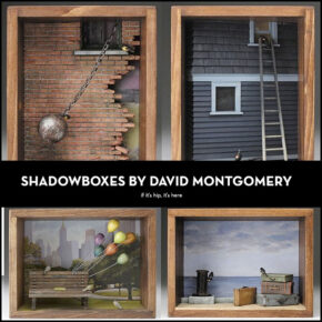 Alphabet Aviaries: Shadowboxes by David Montgomery