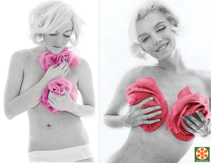 Read more about the article Bert Stern’s Marilyn and Lindsay: Side By Side