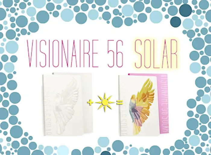 Visionaire 56 Solar Issue