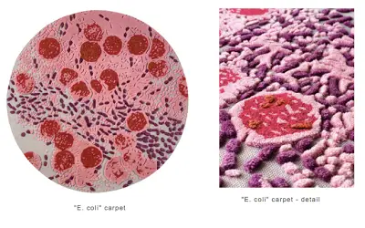 e coli area rug