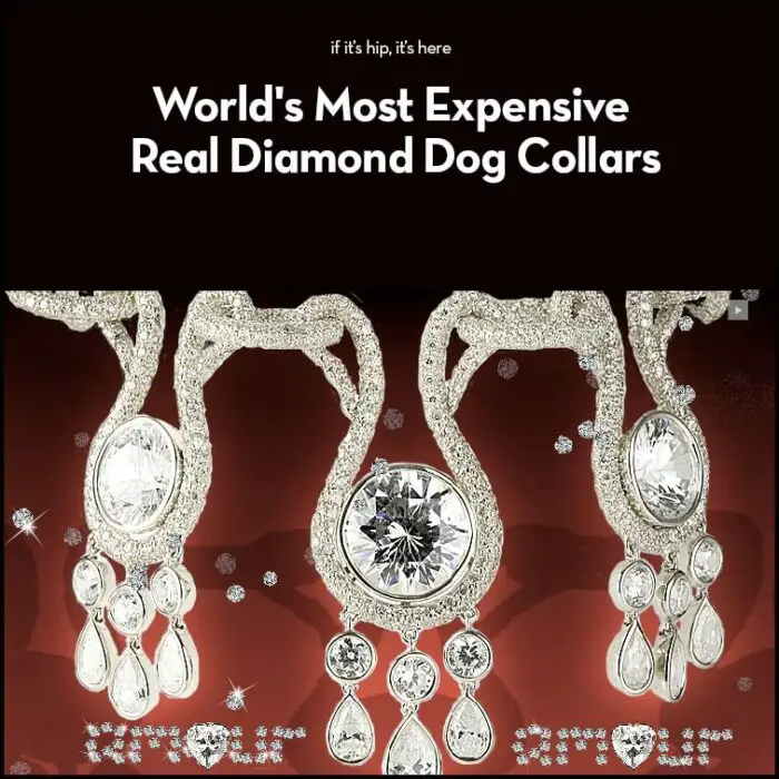 Real Diamond Dog Collars
