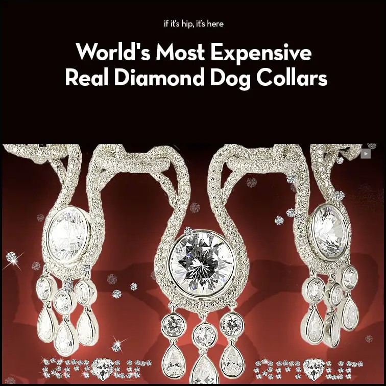 World's Most Expensive Real Diamond Dog Collars If It's Hip, It's Here