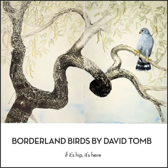 Read more about the article See This Art Exhibit Before It Migrates. Borderland Birds By David Tomb.