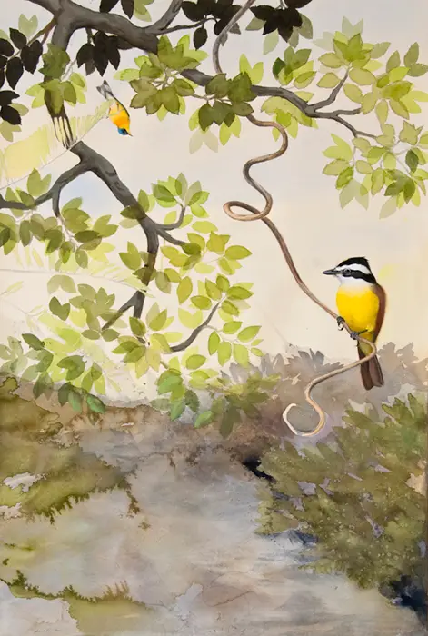 paintings of birds