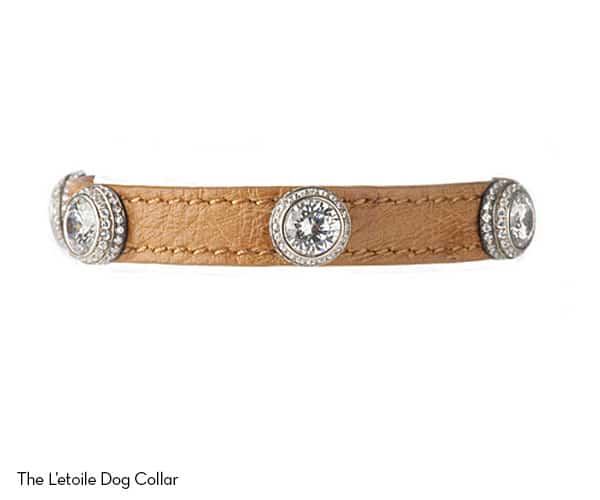 real diamond dog collars