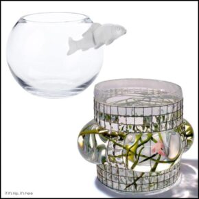 Modern Glass Vessels / Fish Tanks By Vanessa Mitrani