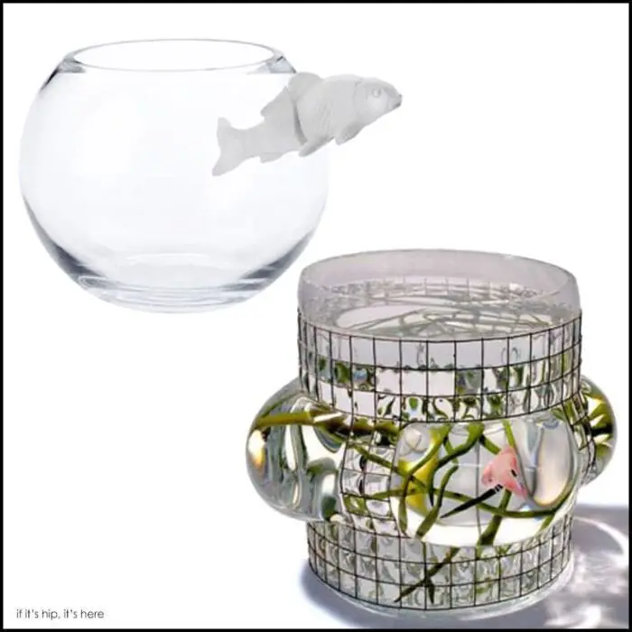 Read more about the article Modern Glass Vessels / Fish Tanks By Vanessa Mitrani