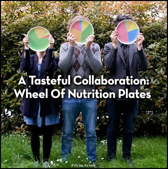 Read more about the article Wheel Of Nutrition Plates, A Tasteful Collaboration By 3 Designers