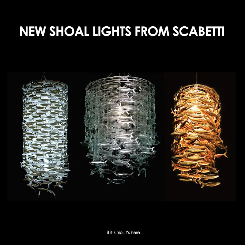 Read more about the article One Fish, Two Fish, Glass Fish, Gold Fish. New Shoal Lights From Scabetti.