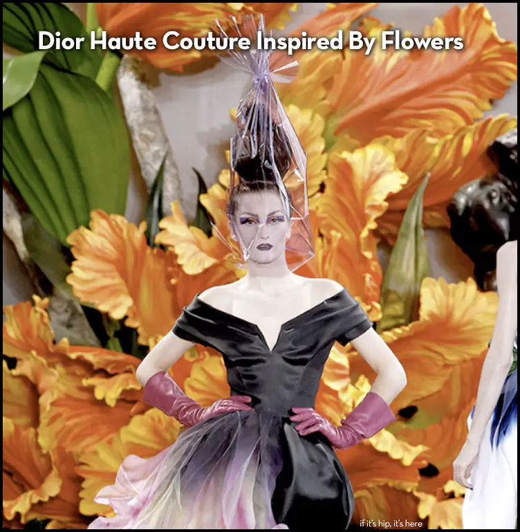 Read more about the article Dior Autumn Winter Haute Couture Collection Will Grow On You.