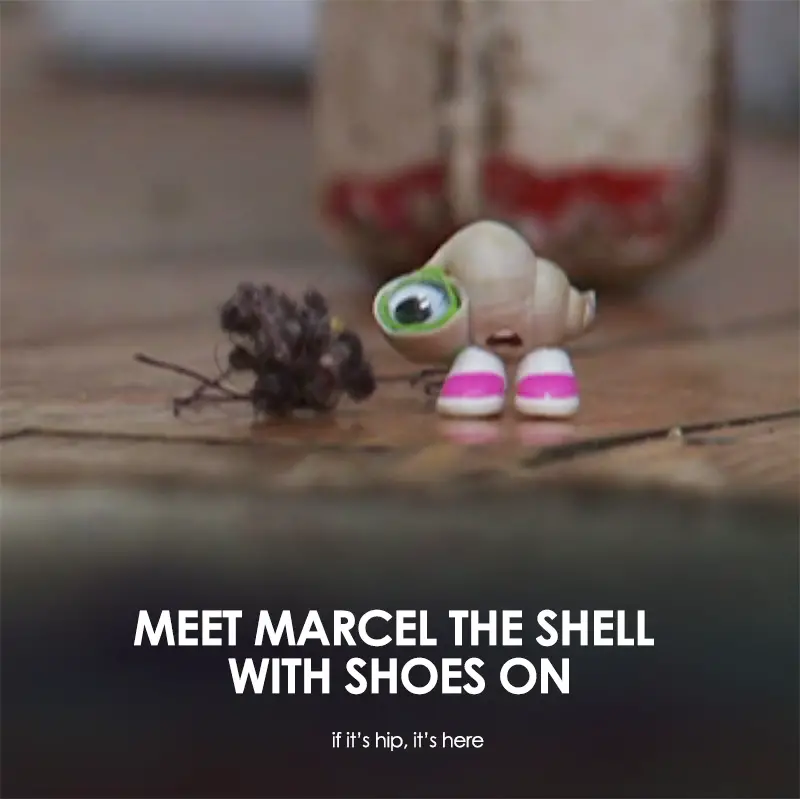 meet marcel the shell with shoes on