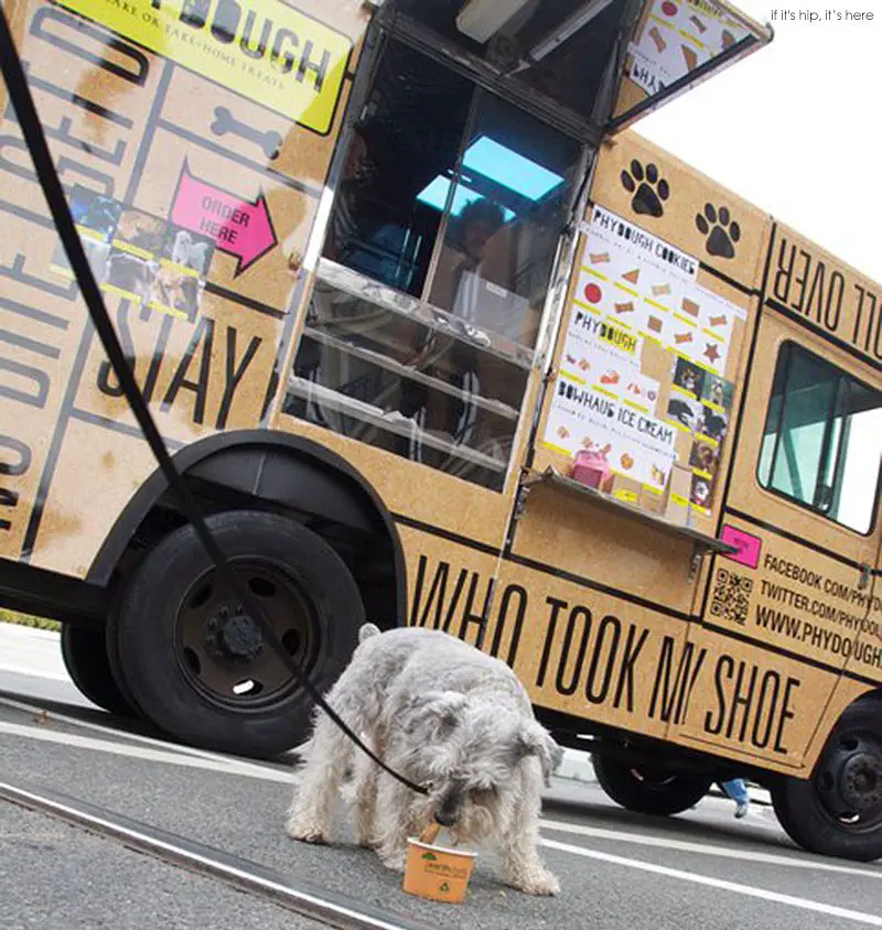 PhyDough Food Truck for Dogs