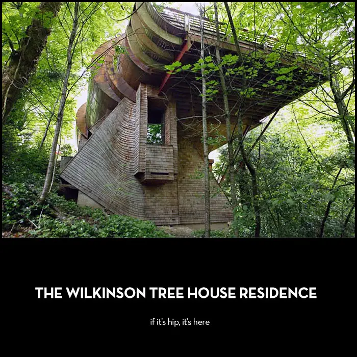 Read more about the article The Wilkinson Tree House Residence By Robert Harvey Oshatz