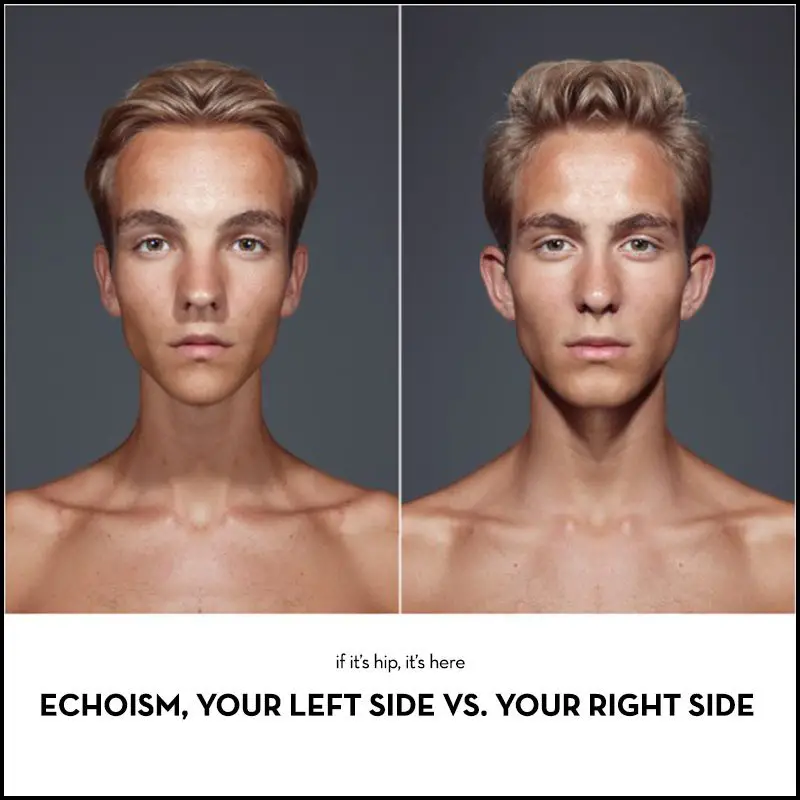 echoism your left side vs. your right side