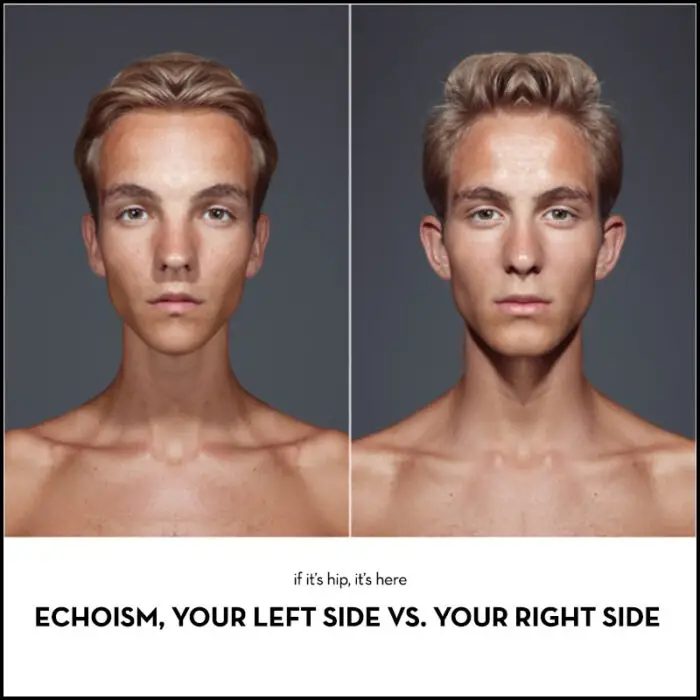 Read more about the article Echoism, Your Left Side Vs. Your Right Side.
