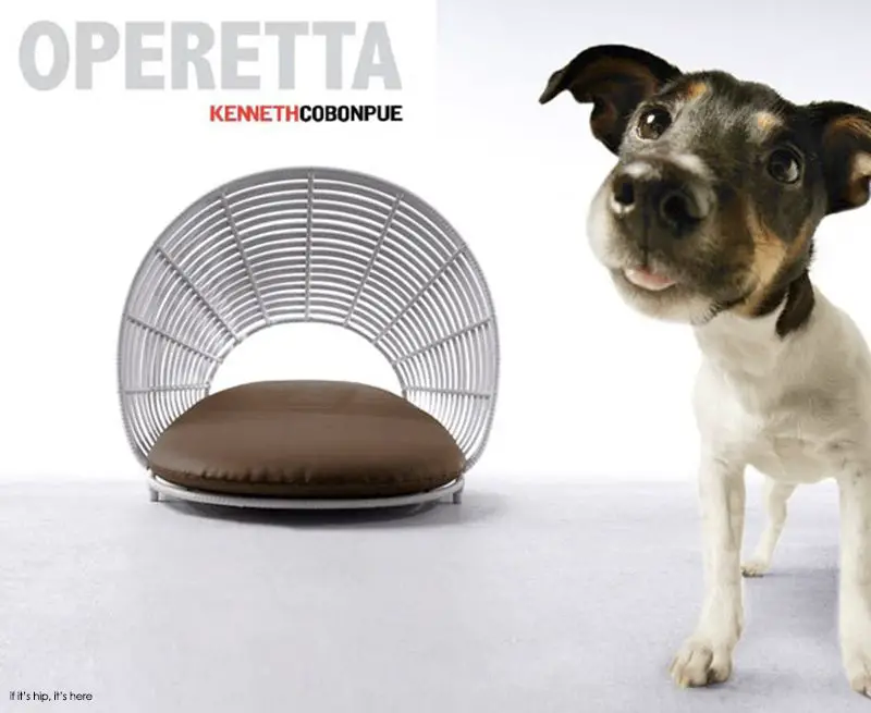 operetta pet lounge