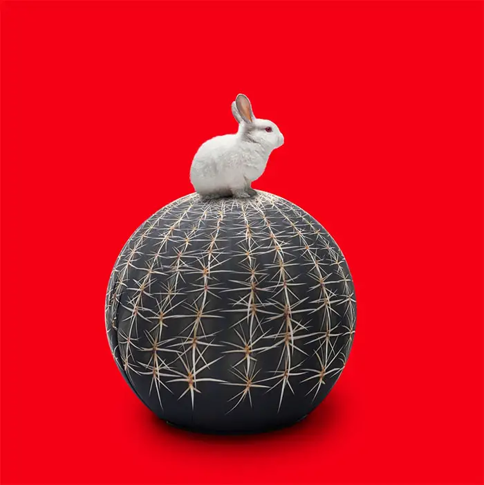 rabbit on galante cactus pouf IIHIH