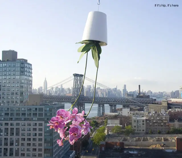 Boskke-sky-planters